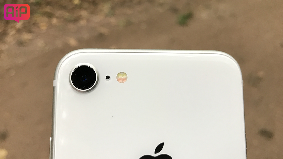 Какой цвет iPhone 8 или iPhone 8 Plus выбрать