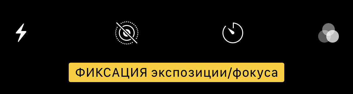 Как делать изумительные макроснимки на iPhone — 5 советов от профессионалов